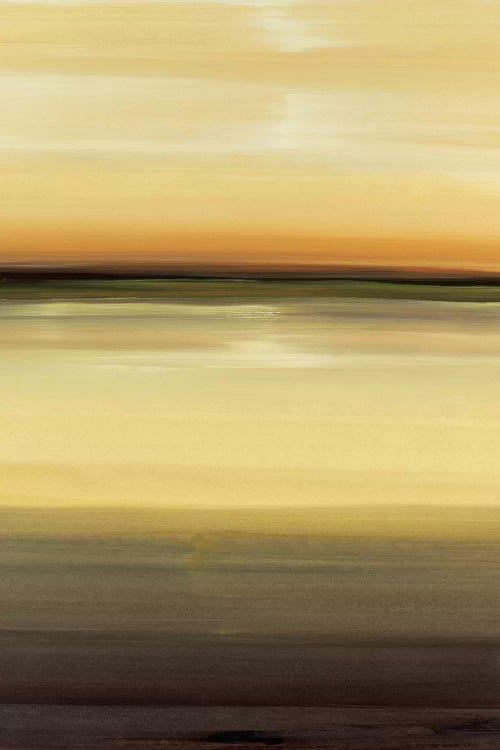 Warm Vision by Lisa Ridgers canvas print