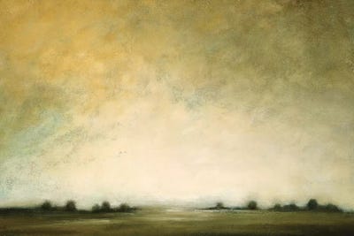 Calm Perspective by Lisa Ridgers canvas print