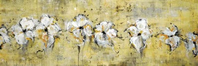 Floral Connection by Lisa Ridgers framed canvas print