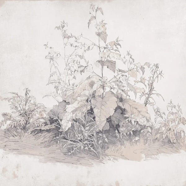 Line And Leaf