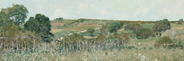 Meadow View