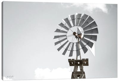 Windmill    Canvas Art Print
