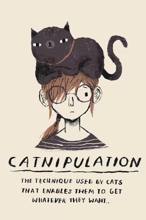 Catnipulation