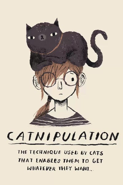 Louis Roskosch: Catnipulation by Louis Roskosch