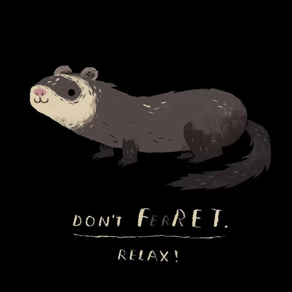 Ferrets: Don"t Ferret by Louis Roskosch