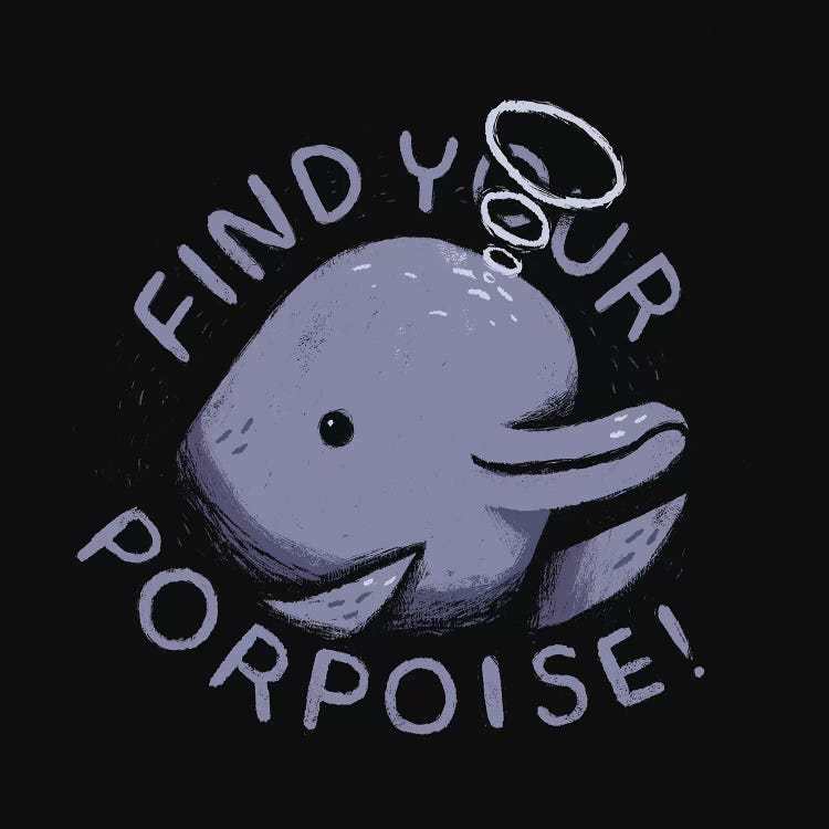 Find Your Porpoise