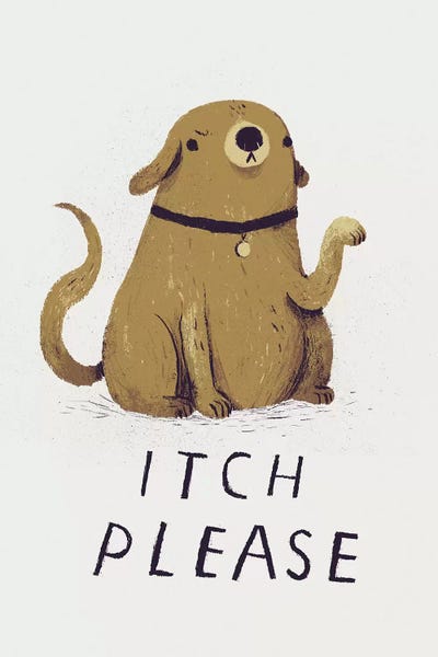 Louis Roskosch: Itch, Please by Louis Roskosch