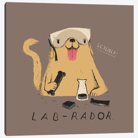 Labrador Canvas Print #LRO29} by Louis Roskosch Canvas Art Print