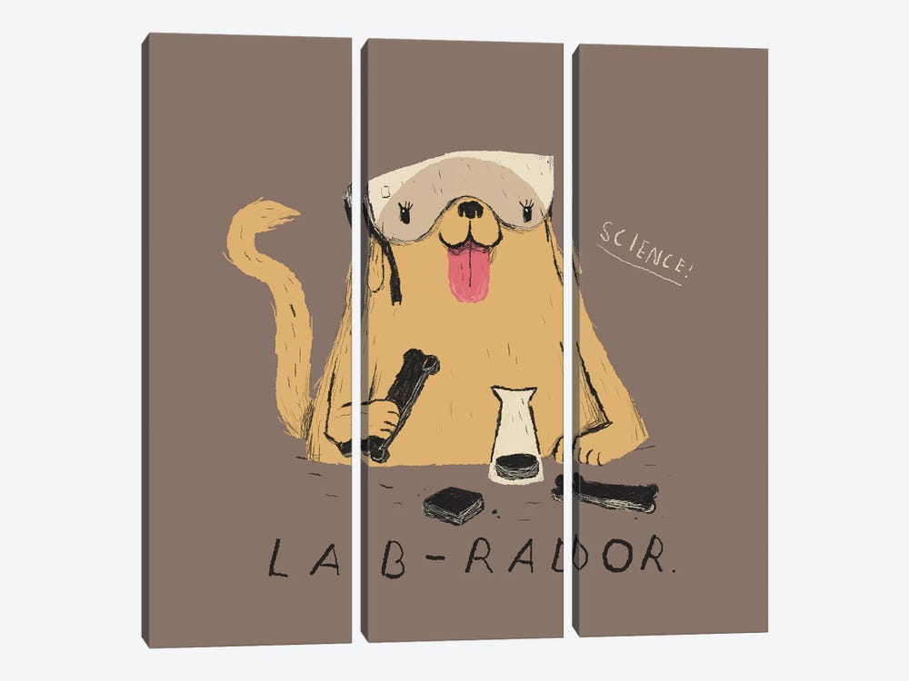 Labrador by Louis Roskosch 3-piece Canvas Print