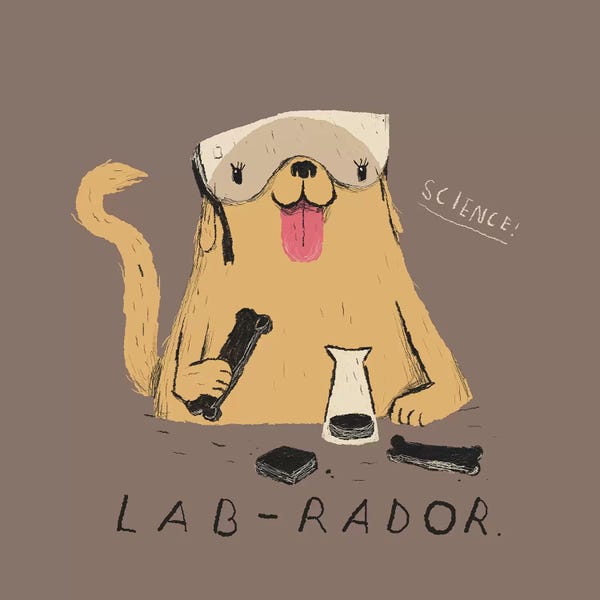 Louis Roskosch: Labrador by Louis Roskosch