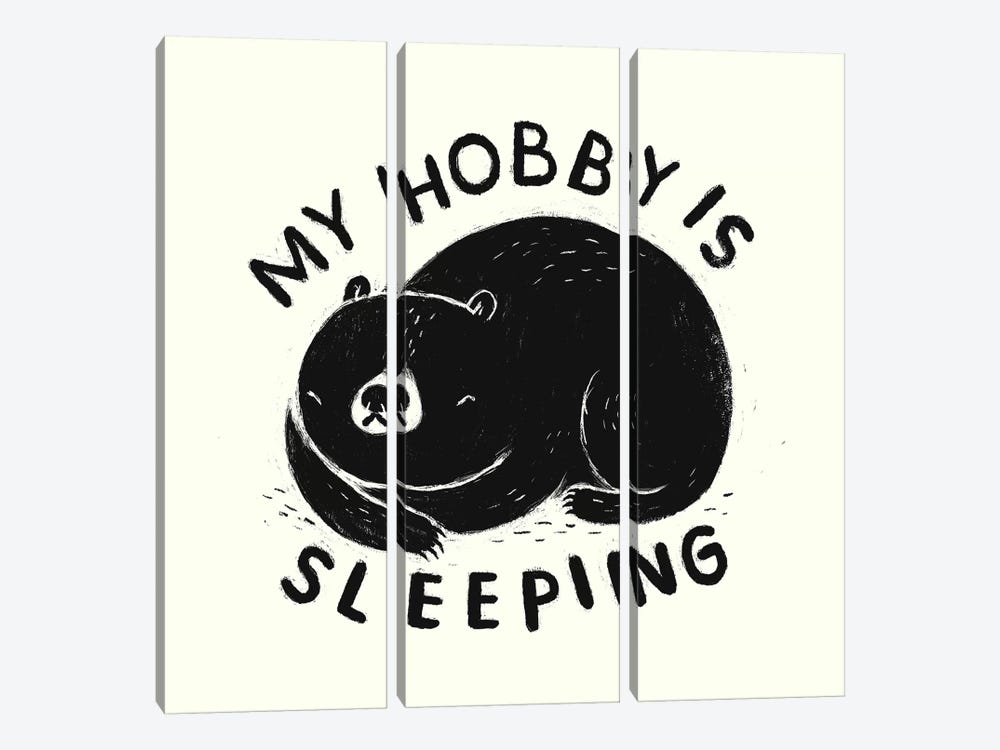 My Hobby Is Sleeping by Louis Roskosch 3-piece Canvas Wall Art