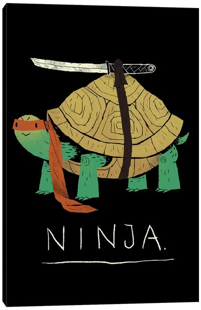 Ninja Canvas Art Print - Louis Roskosch