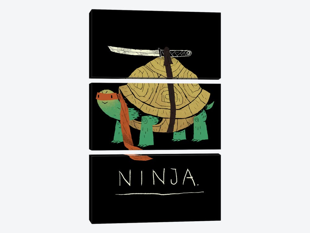 Ninja by Louis Roskosch 3-piece Canvas Art Print