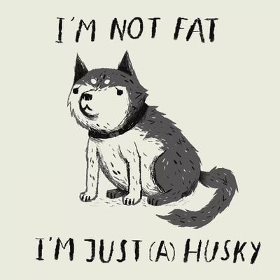 Not Fat, Just Husky by Louis Roskosch metal wall art