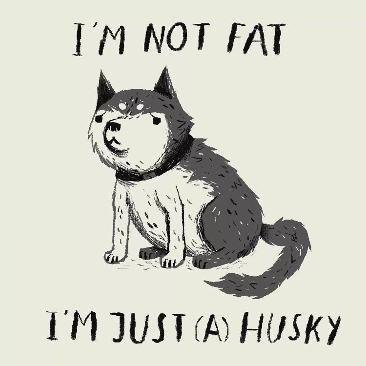 Not Fat, Just Husky