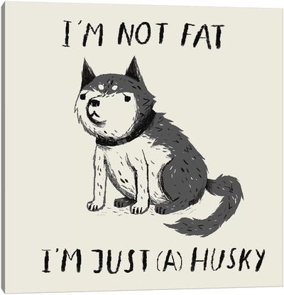 Not Fat, Just Husky Canvas Art Print - Siberian Husky Art