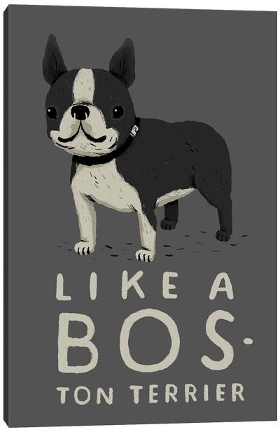Bos-ton Canvas Art Print - Boston Terrier Art