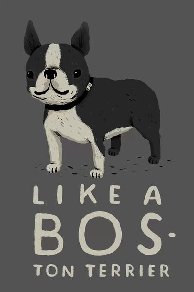 Terriers: Bos-ton by Louis Roskosch