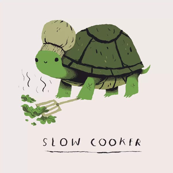 Turtles: Slow Cooker by Louis Roskosch