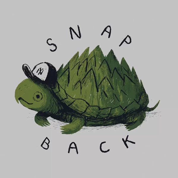 Turtles: Snap Back by Louis Roskosch