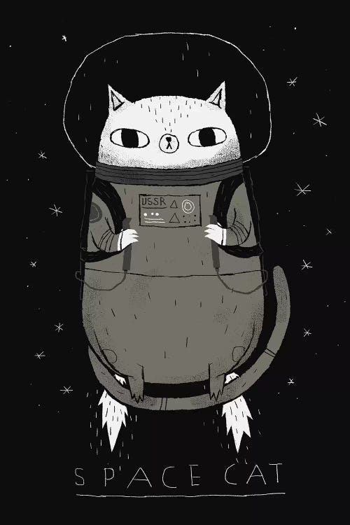 Space Cat