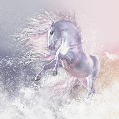 Snow Ghost by Laurie Prindle canvas print