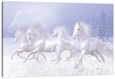 Snow Horses Canvas Art Print - Animal Illustrations