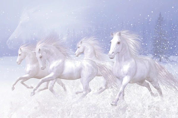 Illustrations: Snow Horses by Laurie Prindle