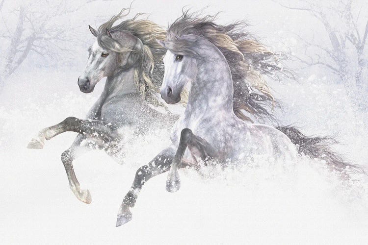 Snow Horses II