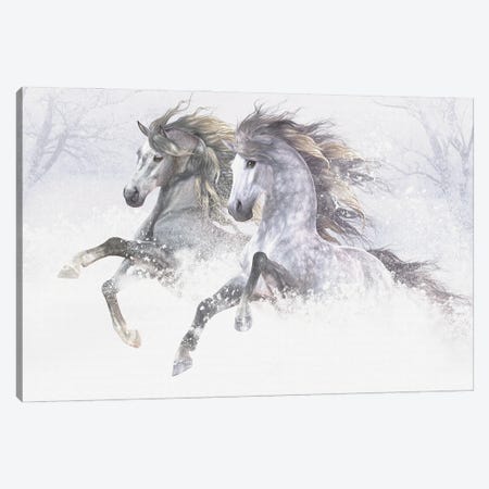 Snow Horses II Canvas Print #LRP109} by Laurie Prindle Canvas Artwork