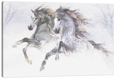 Snow Horses II Canvas Art Print - Laurie Prindle