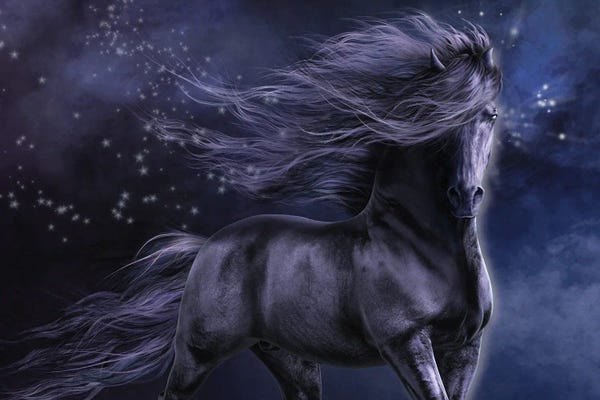 Animal Illustrations: Black Thunder by Laurie Prindle