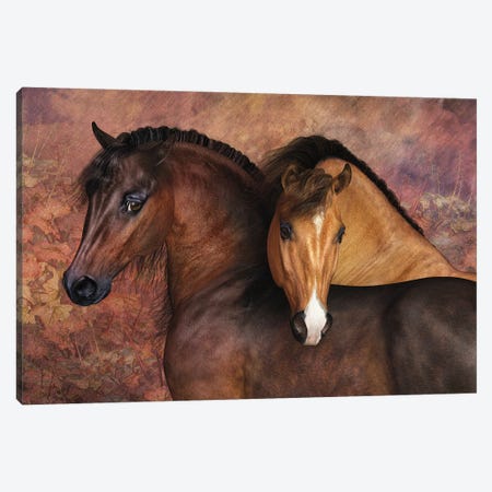 Tom N Flash Canvas Print #LRP140} by Laurie Prindle Canvas Art
