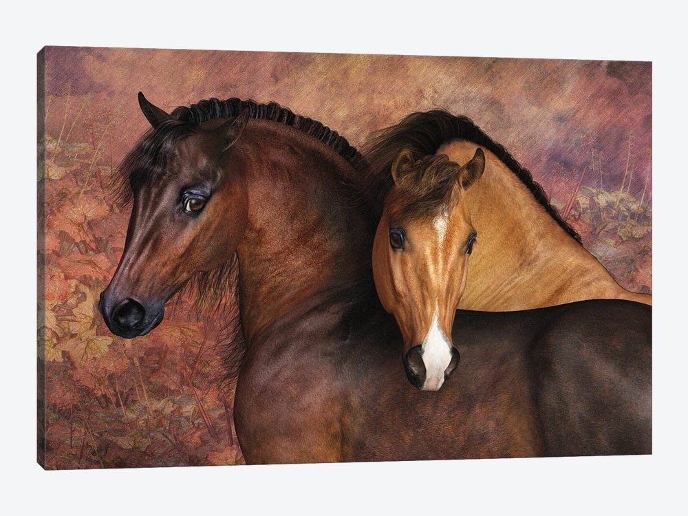 Tom N Flash by Laurie Prindle 1-piece Canvas Wall Art