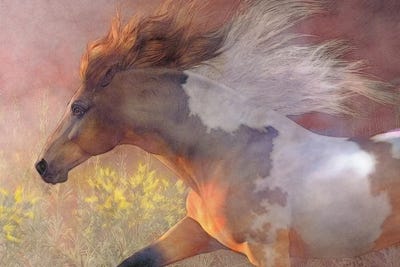 Twilight Run by Laurie Prindle metal wall art