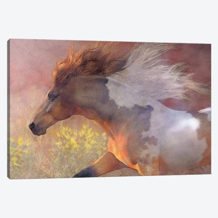 Twilight Run Canvas Print #LRP142} by Laurie Prindle Canvas Art