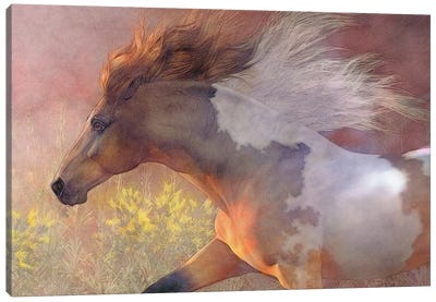 Twilight Run Canvas Art Print - Laurie Prindle