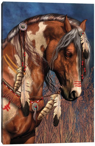 War Pony Canvas Art Print - Animal Illustrations