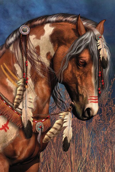 Illustrations: War Pony by Laurie Prindle