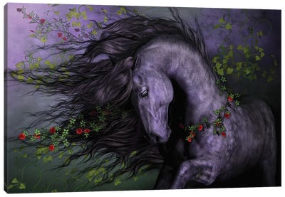 Wild Rose Canvas Art Print - Laurie Prindle