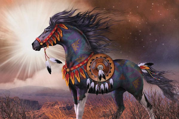 Dreamcatchers: Wind Walker by Laurie Prindle