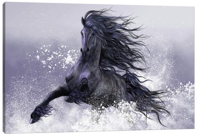 Winter Thunder Canvas Art Print - Laurie Prindle