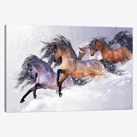 Winters Flight Canvas Print #LRP161} by Laurie Prindle Canvas Wall Art