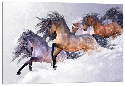 Winters Flight Canvas Art Print - Animal Illustrations