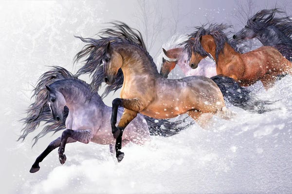 Animal Illustrations: Winters Flight by Laurie Prindle