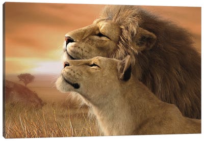A Tender Moment Canvas Art Print - Laurie Prindle