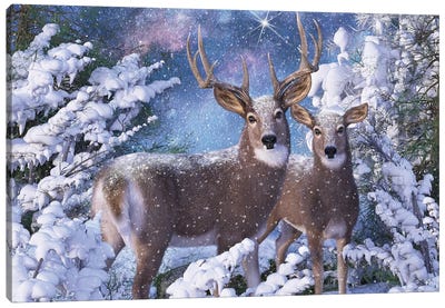 Christmas Eve Canvas Art Print - Snow Art