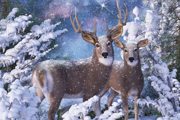 Snow: Christmas Eve by Laurie Prindle