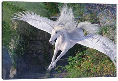 Soaring Canvas Art Print - Pegasus Art