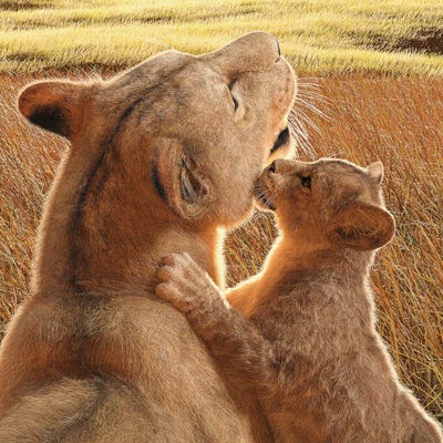 The Bond by Laurie Prindle canvas print